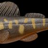 DARK SLEEPER 2.4" 1/4oz. DONKO
