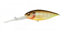 DEEP-SIX PM SUNSHINE GILL