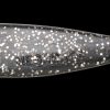 HAZEDONG SHAD 3" (VIOS MINERAL) BLACK/SILVER FLAKE