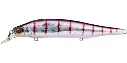 MEGABASS ITO SHINER (Special Color) GG COLD BOLT