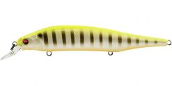 MEGABASS ITO SHINER (Special Color) PM HOT GILL