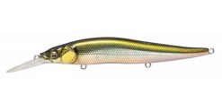 MEGABASS VISION ONETEN +1 WAGIN OIKAWA (M)