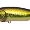POPMAX GG BASS