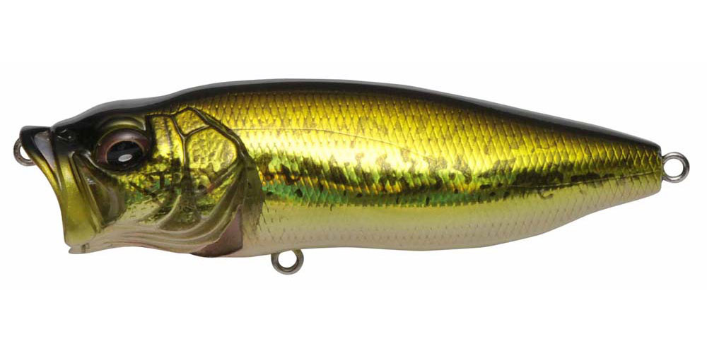 POPMAX GG BASS