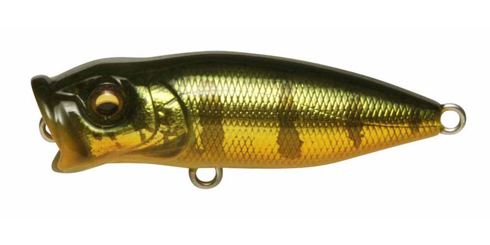 BABY POPX AL PEACOCK