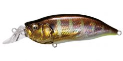 IXI SHAD TYPE-R GG GILL
