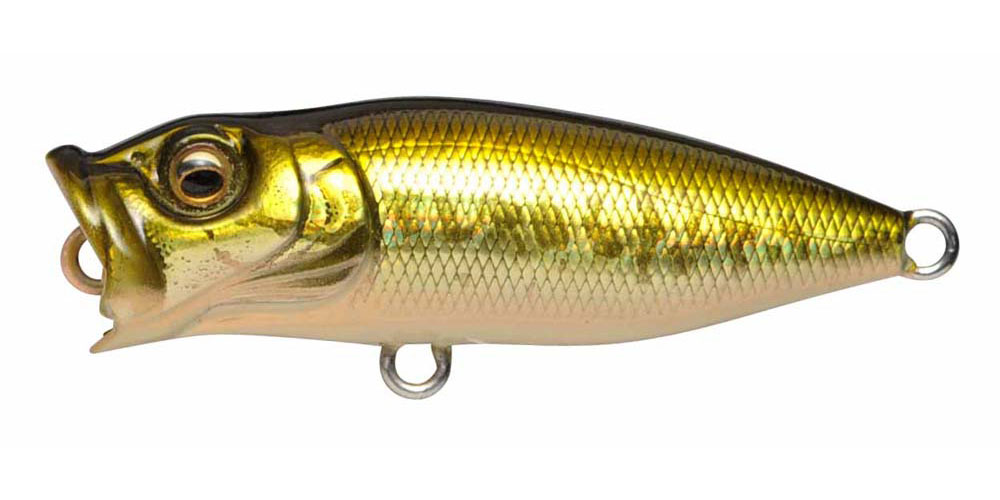BABY POPX GG BASS
