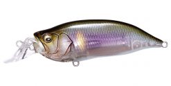 IXI SHAD TYPE-R ITO AYU