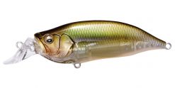 IXI SHAD TYPE-R ITO MOROKO