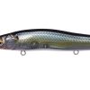 MEGABASS ONETEN R+1 JUKUCHO SHAD