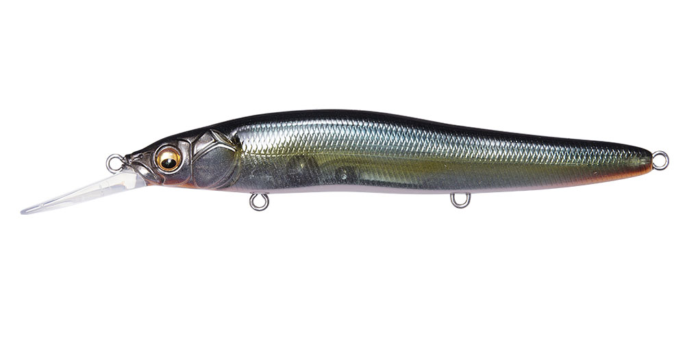 MEGABASS ONETEN R+1 JUKUCHO SHAD