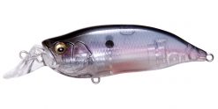 IXI SHAD TYPE-R GHOST SHAD