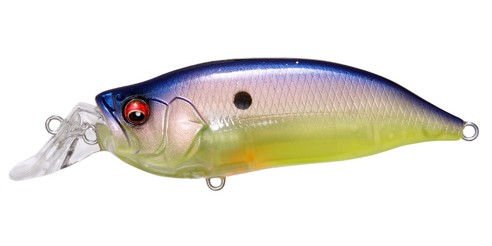 IXI SHAD TYPE-R IMAKATSU BREAM