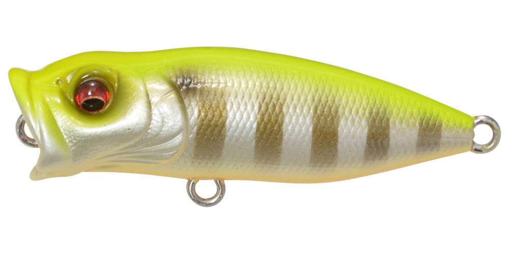 BABY POPX PM HOT GILL
