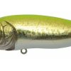 POPMAX GG CHART BACK BASS