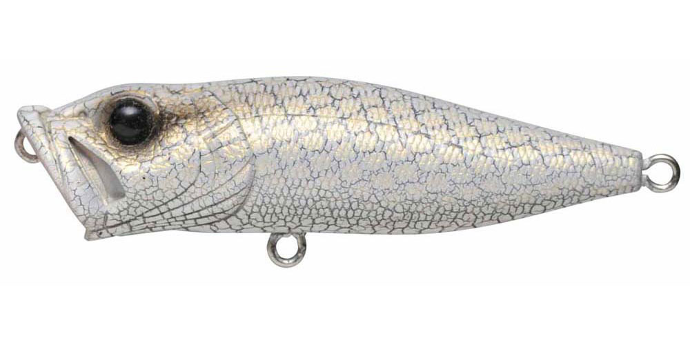 POPX WHITE PYTHON