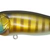 POPMAX PM WILD GILL