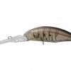 DUNK Suspend Alive Shrimp C-28