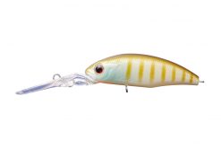 DUNK Suspend Sunny Gill P-45