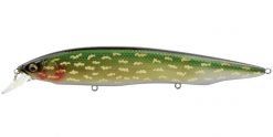 KANATA AYU (SP-C) NORTHERN PIKE