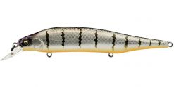 MEGABASS ITO SHINER (Special Color) GLX BOLT