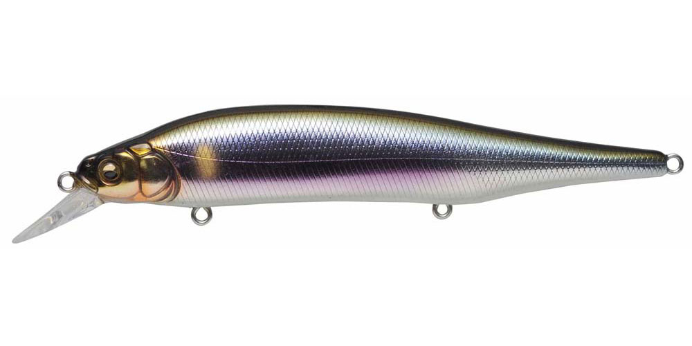 MEGABASS ITO SHINER WAGIN SETSUKI AYU