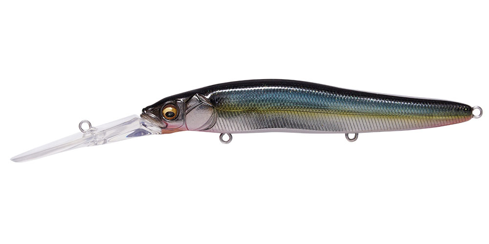 MEGABASS ONETEN R+3 JUKUCHO SHAD