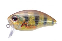 Buzzn CRANK Real Perch RPO-69
