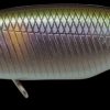 MEGABASS X-52 ACROBAT (F) WAGIN SETSUKI AYU