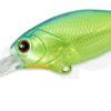 DEPS EVOKE SHAD #02 BIWAKO CHART