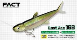 EVERGREEN LAST ACE 168
