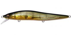 VISION ONETEN LBO (SP-C) GG PERCH