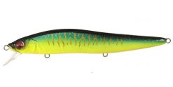 VISION ONETEN LBO (SP-C) GLX HOT TIGER