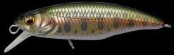 MEGABASS X-48 ACROBAT (F) WAGIN HONRYU AMAGO