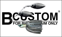 DEPS B CUSTOM