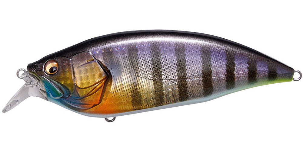 BIG-M 2.0 GG WILD GILL BM