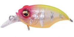 MEGABASS GRIFFON BAIT FINESSE SR-X EIGHT REACTION