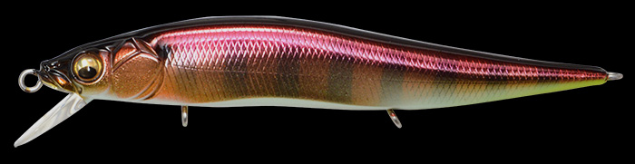 VISION ONETEN Jr. M END MAX