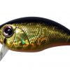 Buzzn CRANK Crystal Gold H04