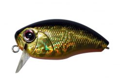 Buzzn CRANK Crystal Gold H04