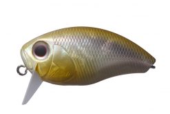 Buzzn CRANK Ginrin H23
