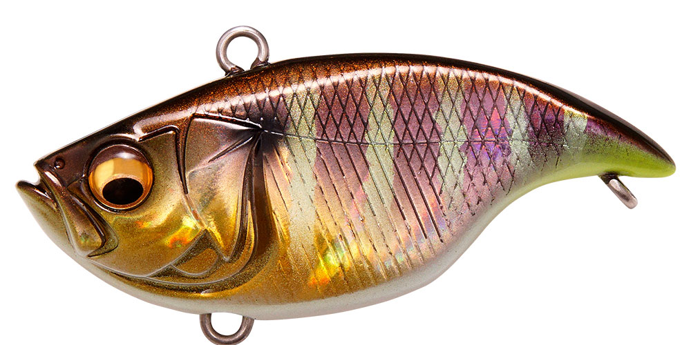 VIBRATION-X DYNA(RATTLE IN) GG GILL