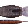 DOLIVE SS-GILL 3.6" Ebi Miso Black TW146