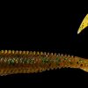 MEGABASS KEMURI CURLY 3.5" - MOEBI