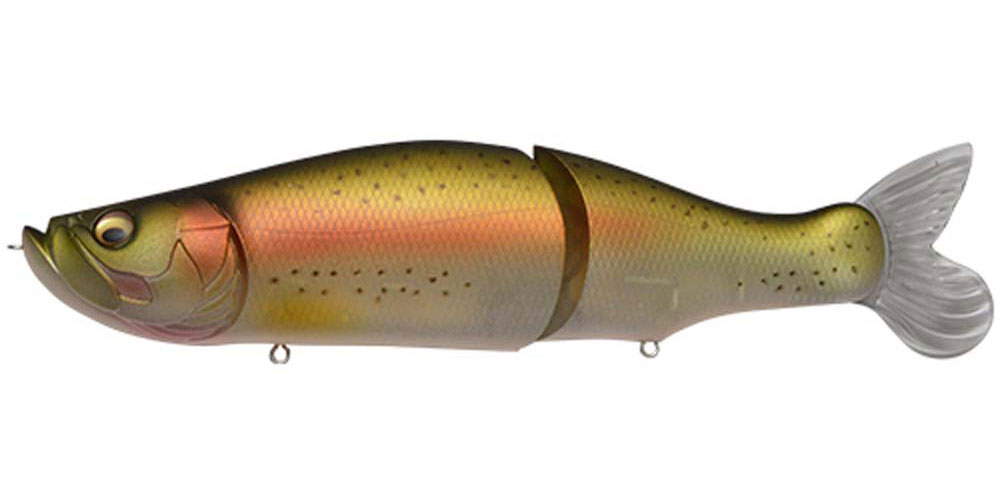 I-SLIDE 262 T RAINBOW