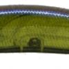 ONETEN R+1(SP-C) PURPLE WINNEIE SHAD