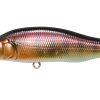 X-80 TRICK DARTER M END MAX