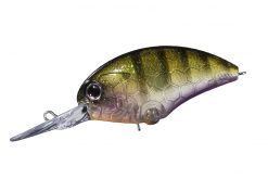 BLITZ-DR L16 Dazzler Baby Gill