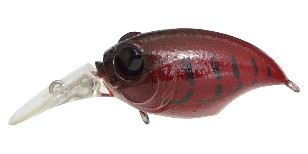 New MR-X GRIFFON FIRE CRAW