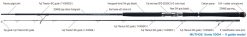 ZENAQ DEFI MUTHOS DM-Sonio 100M (K-Guide) – Bild 2